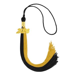 Two Color Tassel with 2026 Charm
